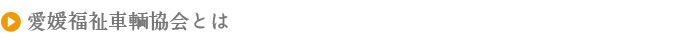 愛媛福祉車輌協会とは